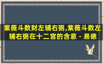 紫薇斗数财左辅右弼,紫薇斗数左辅右弼在十二宫的含意 - 易德居